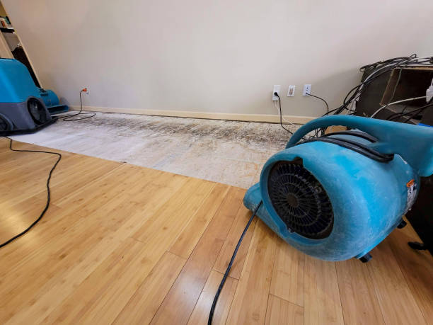 Professional Sewage Cleanup technician working in Litchfield, IL